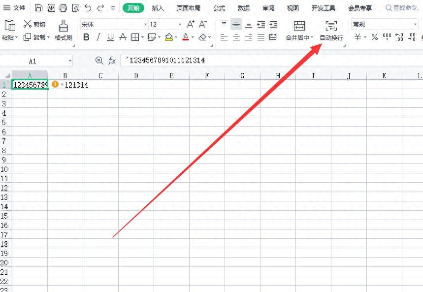 excel单元格内换行怎么操作,一个格子打两排字方法(图2) excel单元格内换行怎么操作,一个格子打两排字方法(图2)