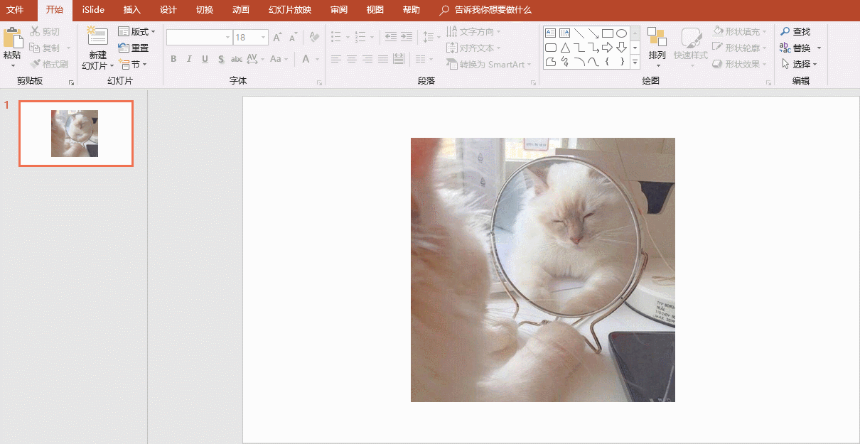 ppt图片透明度怎么更改(透明度调节的步骤)(图1) ppt图片透明度怎么更改(透明度调节的步骤)(图1)